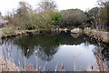 Pond by the crescent