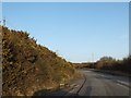 Minor road south of Carrancarrow