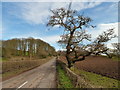 View from Home Farm