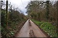 West Somerset : Countryside Road