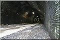 SK1772 : Cressbrook tunnel by Chris Allen