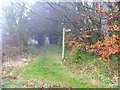 Footpath sign by Up Marden church