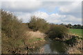 The River Wid, downstream of Butts Way