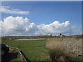 The ponds at Kiveton Waters