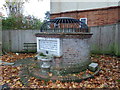 The Holy Well of St Anne