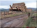 Log pile at Kaims of Airlie