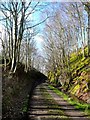 Cutting on the old Symington, Biggar and Broughton Railway