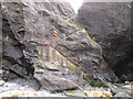 SW8469 : Rock netting by beach stairs, Bedruthan Steps by David Hawgood