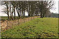 Cotswold dry-stone wall near Stockwell Farm