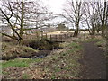 Footbridge in Tanfield Woods