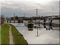 SJ7187 : Lymm Marina, Bridgewater Canal by David Dixon