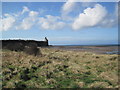 Greenan Castle, Doonfoot