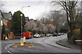 Blossom on Billinge Avenue