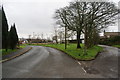 A piece of village green at Mellor