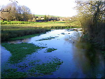 SU0425 : River Ebble, Broad Chalke - (3) by Maigheach-gheal