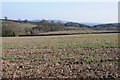 SO6746 : Arable land near Fromes Hill by Philip Halling