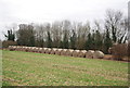 Hay bales, Lower Garrington Farm