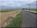 White House Road across Burnt Fen