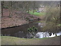 Pond, Whitmoor Bottom