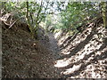 Sunken bridleway to French Lane