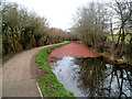 ST2990 : Reddish surface colour on canal water, Malpas by Jaggery