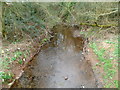 Malpas Brook flows towards a footbridge, Bettws, Newport