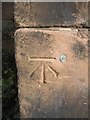 Bench mark and bolt on St Boniface