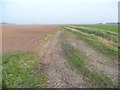 Farm track at 3 metres above sea level