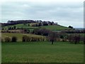 Looking towards Huntley Wood