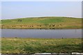 Reclaimed landfill site and lake