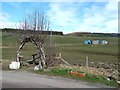 Willow arch, Kirkton of Glenisla