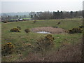 Storm drain pond