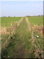 Footpath to Brook Farm