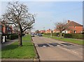 Road humps on Selworthy Drive