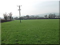 Footpath across grazing field