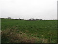 Pasture Land south of Rock Road