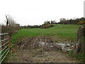 Grazing land west of Rock Road