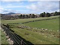 View up Glen Isla from Bellaty