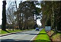 Looking south on Fontwell Avenue from the racecourse