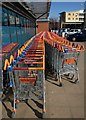 TQ2382 : Shopping trolleys, Ladbroke Grove Sainsbury's by Derek Harper