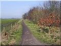 Trans Pennine Trail