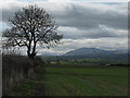 Looking west from near Catterlen