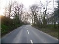 Bend in the Lane near Broom Hill Farm