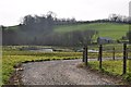 Mid Devon : Pond at Gilberts