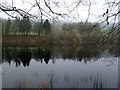 Reflections in More Hall Reservoir