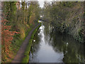 Bridgewater Canal at Lymm