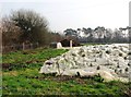 Sprouts covered by fleece, Barcombe