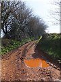 Bridleway to Cullompton from Rull Lane