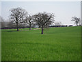 TQ7849 : Field by East Hall Hill by Oast House Archive