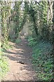 Path down Leckhampton Hill